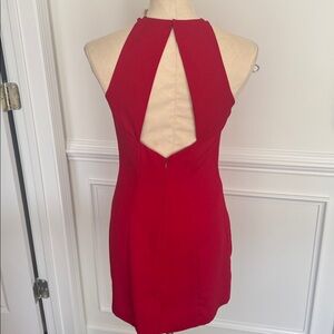Randi May collection Elegant Red  Dress with zipper in back. Excellent condition